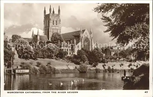 Worcester Cathedral from the River Severn Kat. Worcester