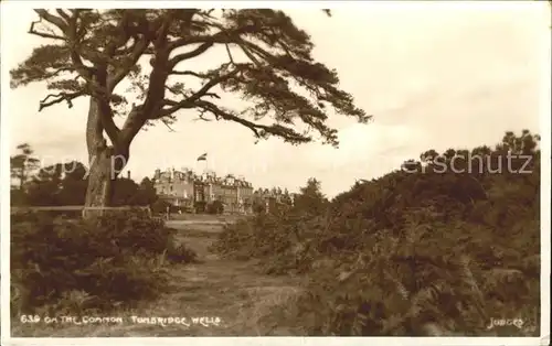 Tunbridge Wells On the Common Kat. Tunbridge Wells