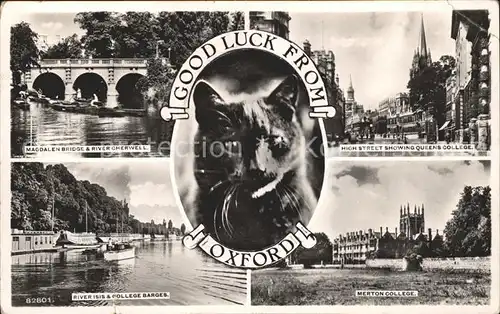 Oxford Oxfordshire Magdalen Bridge River High Street College Cat / Oxford /Oxfordshire