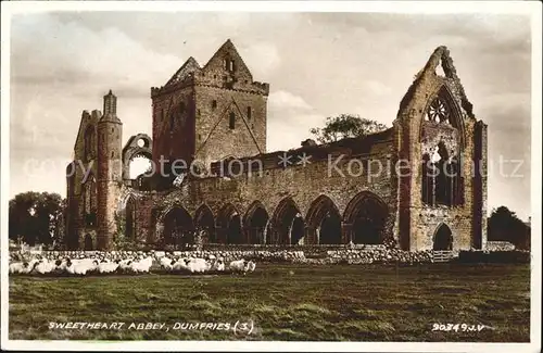 Dumfries Galloway Sweetheart Abbey Ruins Valentine's Post Card / Dumfries & Galloway /Dumfries & Galloway