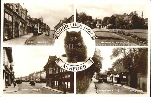 Ashford Kent Bank Street Memorial Gardens High Street East Hill Cat Valentine's Post Card / Ashford /Kent CC
