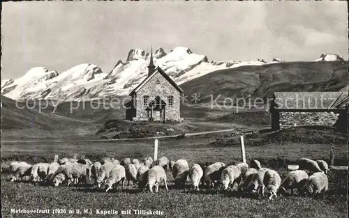 Melchsee Frutt Kapelle mit Titliskette Schafherde Kat. Melchsee Frutt