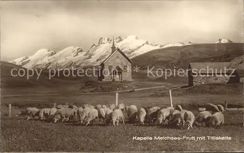 Melchsee Frutt Kapelle mit Titliskette Schafherde Kat. Melchsee Frutt