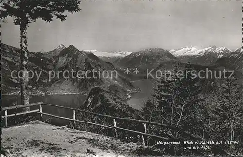 Buergenstock Blick vom Kaenzeli auf Vitznau und die Alpen Kat. Buergenstock