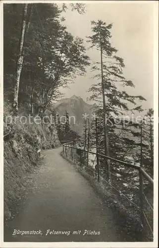 Buergenstock Felsenweg mit Pilatus Kat. Buergenstock
