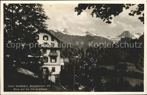 Buergenstock Hotel Waldheim mit Wallenstoecken Kat. Buergenstock