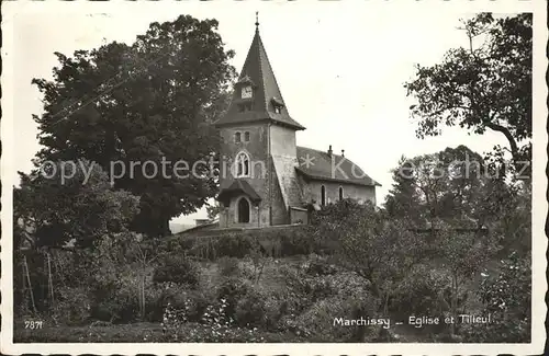 Marchissy Eglise et Tilleul Kat. Marchissy