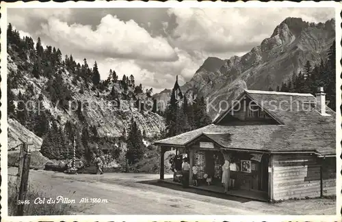 Col du Pillon Chalet Kat. Pillon Col du