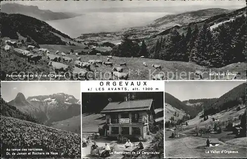 Les Avants Orgevaux Restaurant de la Cergniaulaz Panorama sur le Lac Leman Kat. Les Avants