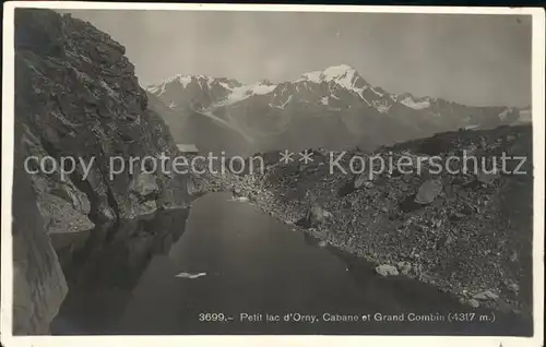 Orny Cossonay Petit Lac d Orny Cabane et Grand Combin Kat. Orny