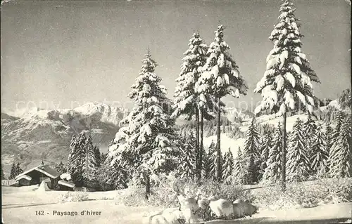 Villars VD Paysage d hiver Kat. Villars