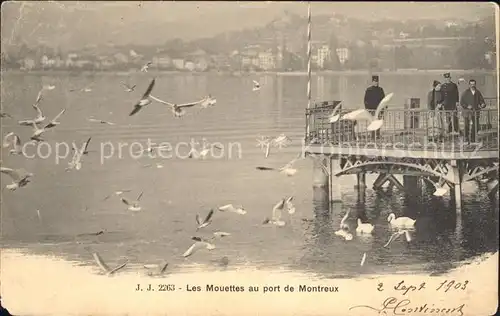 Montreux VD Les Mouettes au port de Montreux / Montreux /Bz. Vevey