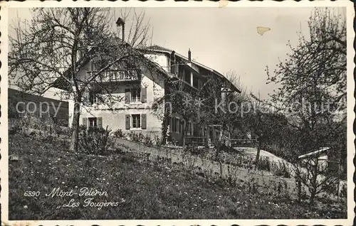 Mont Pelerin Les Fougeres Kat. Mont Pelerin