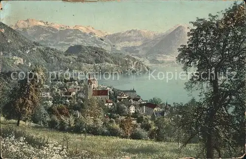 Vitznau mit Vierwaldstaettersee und Alpen Kat. Vitznau