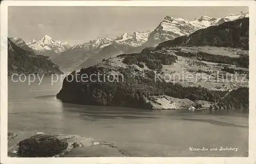 Seelisberg UR Urnersee und Alpen / Seelisberg /Bz. Uri