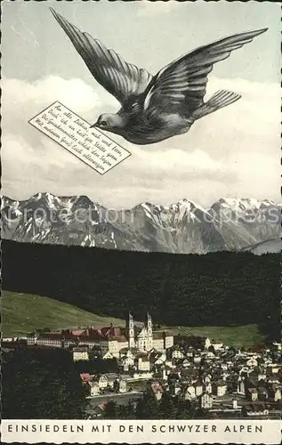 Einsiedeln SZ mit Schwyzer Alpen Brief-Taube / Einsiedeln /Bz. Einsiedeln