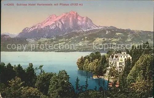 Hertenstein LU Schlosshotel mit Pilatus Kat. Hertenstein LU