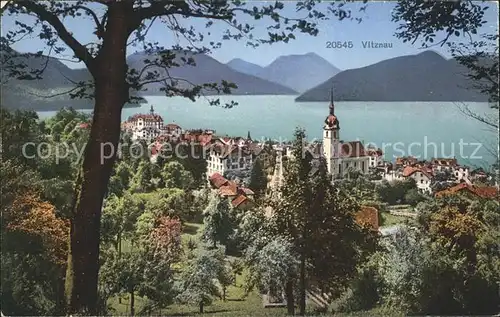 Vitznau Vierwaldstaettersee Kat. Vitznau