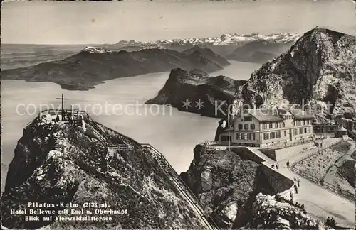 Pilatus Kulm Hotel Bellevue Esel mit Vierwaldstaettersee und Alpen Kat. Pilatus Kulm