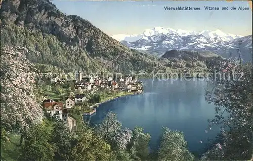 Vitznau Ortsansicht Vierwaldstaettersee Alpen Kat. Vitznau