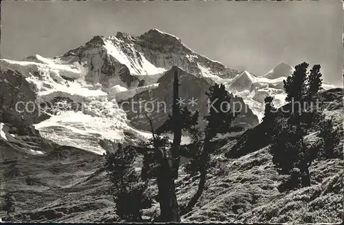 Kleine Scheidegg Wengen Jungfrau und Silberhorn Kat. Scheidegg Kleine