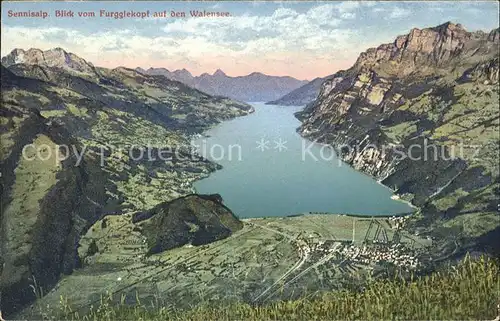 Walensee Blick vom Furggiekopf  Sennisalp Kat. Walenstadt