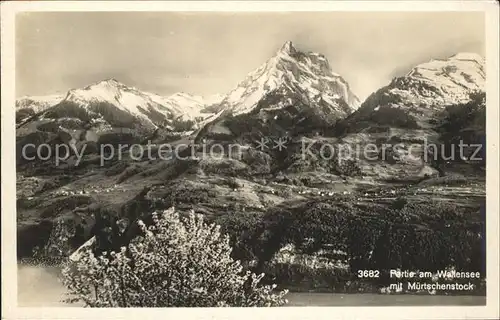 Wallensee mit Muertschenstock Kat. Walenstadt