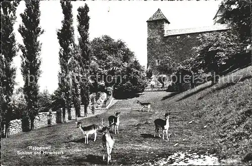 Rapperswil SG Schloss und Hirschpark Kat. Rapperswil SG