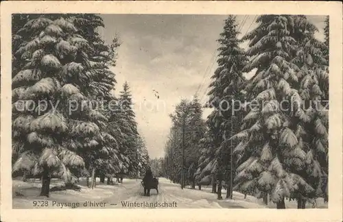 Bex VD Paysage d' hiver- Winterlandschaft / Bex /Bz. Aigle
