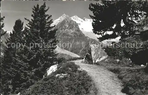 Moerel Riederalp Aussblick vom Casselweg Riederhorn Kat. Moerel