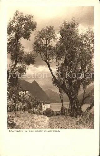 Gandria Lago di Lugano Salviamo il sentiero Kat. Gandria