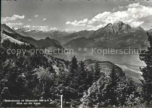 Kuessnacht Seebodenalp mit Alpenpanorama Kat. Kuessnacht