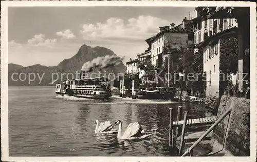 Gandria Lago di Lugano Teilansicht Dampfer Schwaene Kat. Gandria