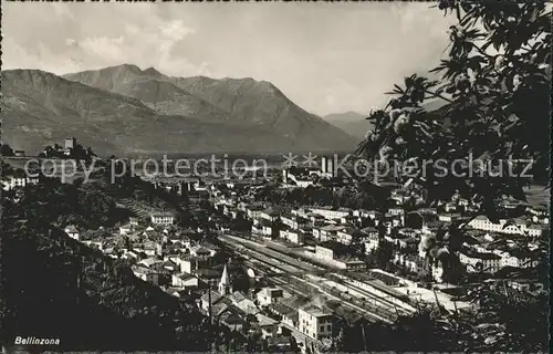 Bellinzona Panorama Kat. Bellinzona