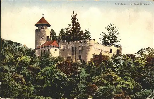 Arlesheim Schloss Birseck Kat. Arlesheim