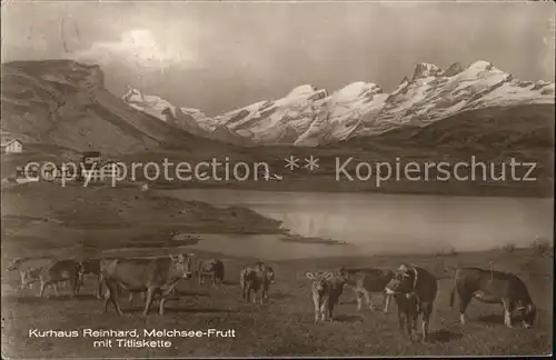 Melchsee Frutt Kurhaus Reinhard Titliskette See Kuehe Kat. Melchsee Frutt