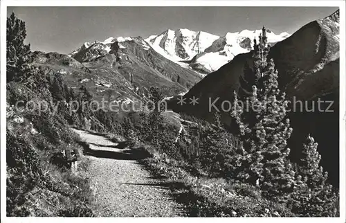 Piz Palue Am Hoechenweg Kat. Piz Palue