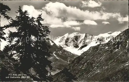 Piz Palue Bellavista Kat. Piz Palue