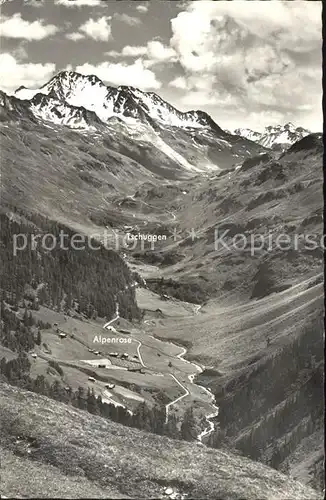 Flueela Wisshorn gegen Alpenrose Tschuggen Passhoehe Kat. Flueela Wisshorn