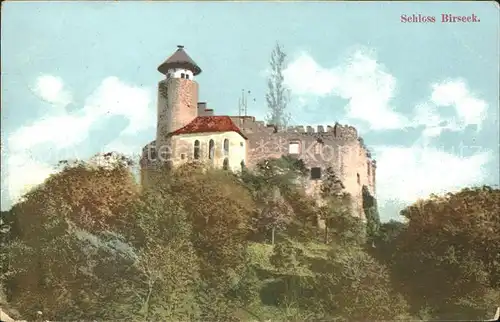 Arlesheim Schloss Birseck Litho Kat. Arlesheim