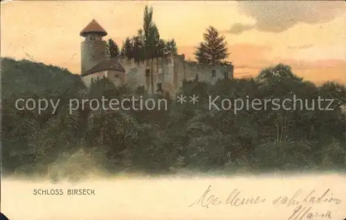 Arlesheim Schloss Birseck Litho Kat. Arlesheim