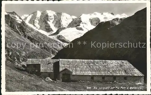 Pontresina Alp Languard mit Piz Palue und Bellavista Kat. Pontresina