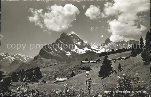 Braunwald GL Alp mit Ortstock Kat. Braunwald