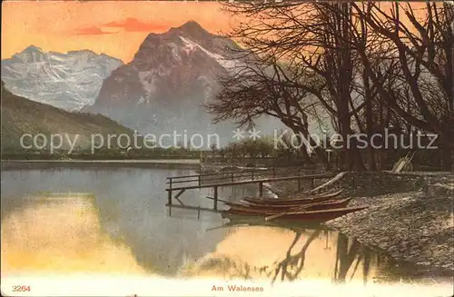 Walensee Am Ufer Boot Kat. Walenstadt