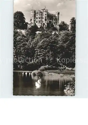 Hohenschwangau Alpsee Schloss Kat. Schwangau