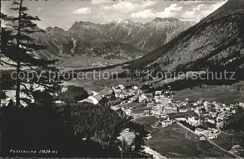 Pontresina Panorama Kat. Pontresina