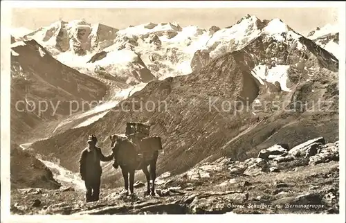 Bernina Oberer Schafberg mit Berninagruppe Bauer mit Packesel Kat. Bernina