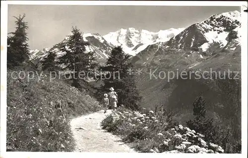 Piz Palue Am Hoehenweg Kat. Piz Palue