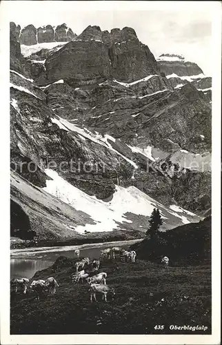 Oberblegisee mit Oberblegialp Viehherde Kat. Luchsingen