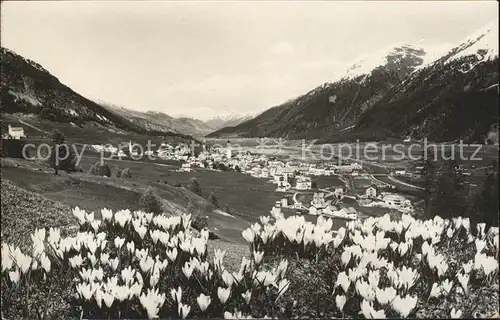 Samedan Panorama Krokuswiese Kat. Samedan